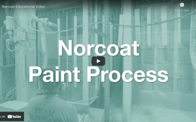 Norwood Window & Door Review – 20 Years After Installation